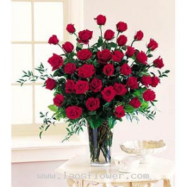 29 Red Roses